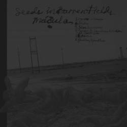 Seeds In Barren Fields : Mácula - Seeds in Barren Fields